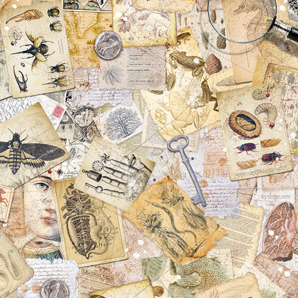 PAPIER DE RIZ A5 ASSORTI 8/PAQUET CABINET DE CURIOSITÉS