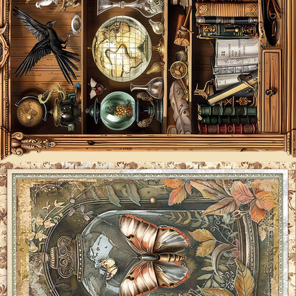PAPIER DE RIZ A5 ASSORTI 8/PAQUET CABINET DE CURIOSITÉS
