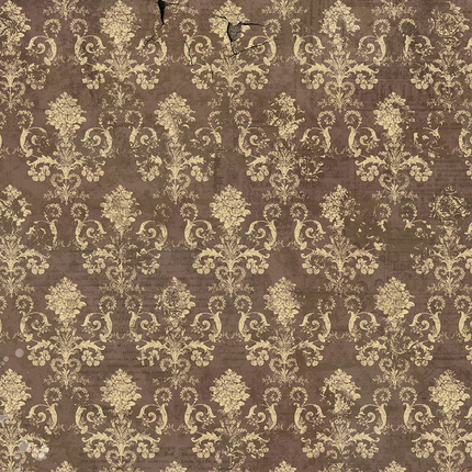PAPIER DE RIZ A5 ASSORTI 8/PAQUET CABINET DE CURIOSITÉS