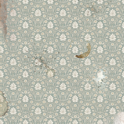 PAPIER DE RIZ A5 ASSORTI 8/PAQUET CODEX