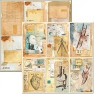 Feuille de papier Sign of the Times Cards 12"x12"