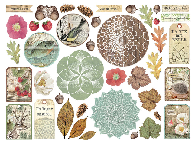 die cuts assortis - Forêt
