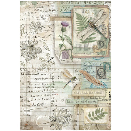 Papier de riz en paquet A4 - Herbarium Silvae botanique