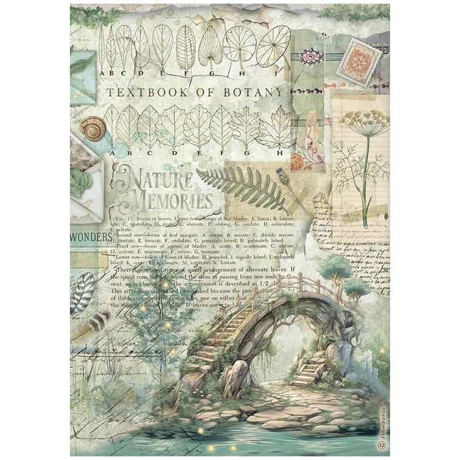 A4 Rice paper packed - Herbarium Silvae bridge