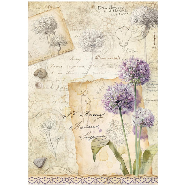 Papier de riz imprimé A4 pour loisirs créatifs - Allium tout autour