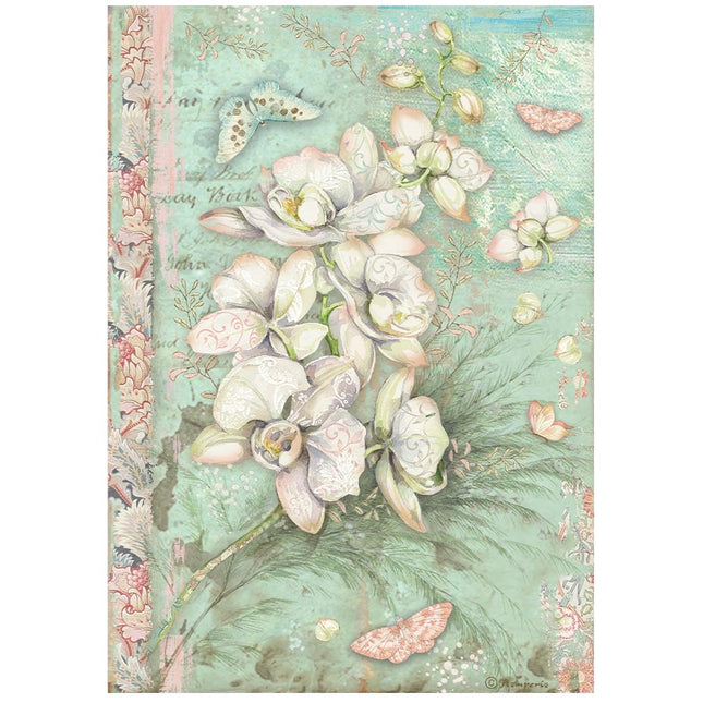 Papier de riz A4 en paquet - Orchidées et chats, orchidée blanche