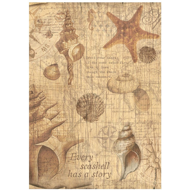 Papier de riz en pack A4 - Sea Land coquillages