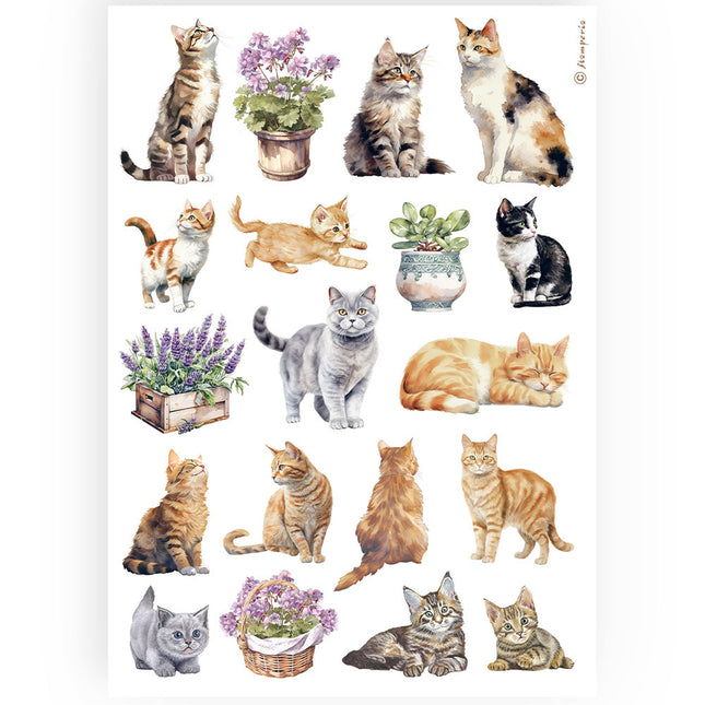 Papier de riz A4 emballé - chats