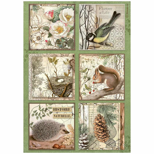 Papier de riz A4 pré-imprimé - 6 cartes de la forêt