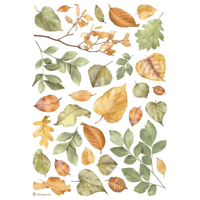 Papier de riz au format A4 - Feuilles