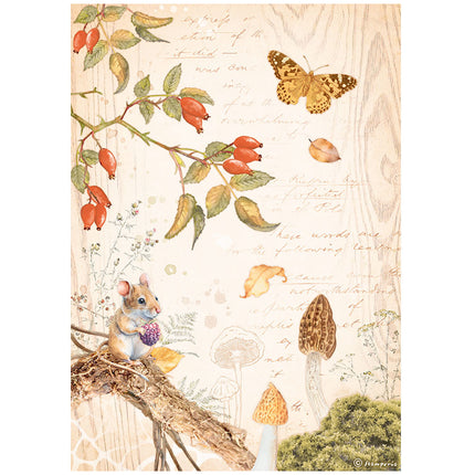 Sélection de 6 papiers de riz A4 - Woodland