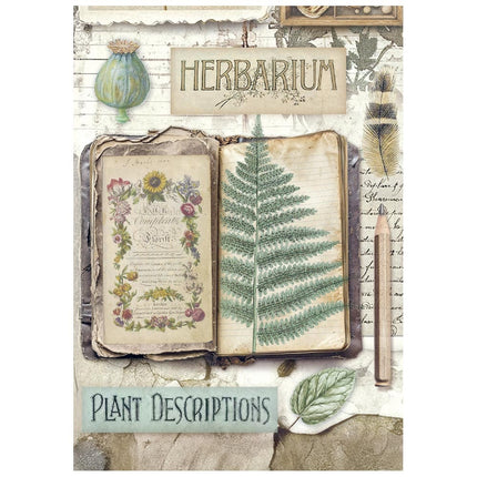 Mini papier de riz A6 8 feuilles  Herbarium Silvae