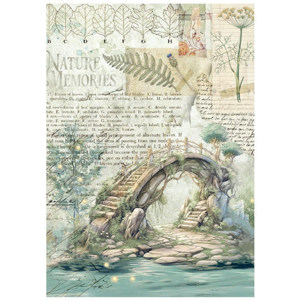 Mini papier de riz A6 8 feuilles  Herbarium Silvae