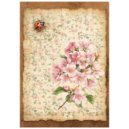 Mini papier de riz imprimé A6, 8 feuilles pour loisirs créatifs - Tout autour