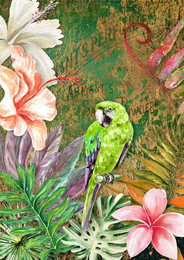Papier de riz Oiseau tropical vert A4
