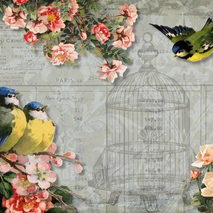 Mésanges et roses avec cage à oiseaux A4