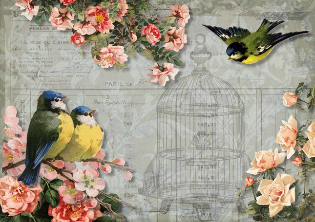 Mésanges et roses avec cage à oiseaux A3