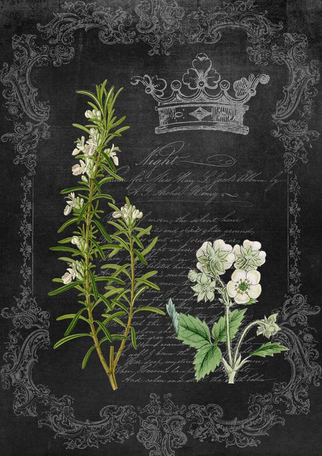 Romarin et fleurs sauvages sur tableau noir A4