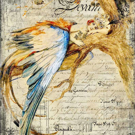 Reine Bluebird A4