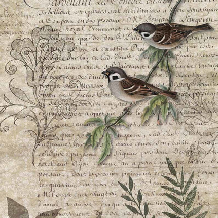 Oiseaux sur une branche A3