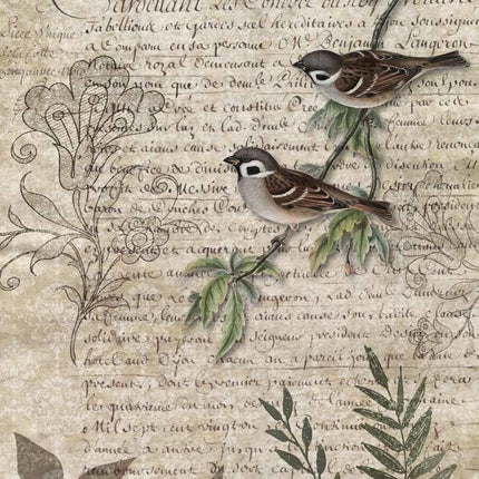 Oiseaux sur une branche A4