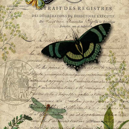 Papillons botaniques A4