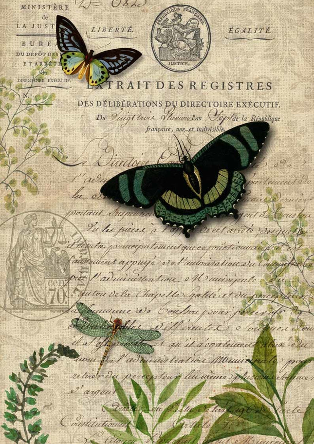 Papillons botaniques A4