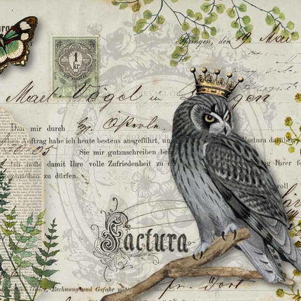 Botanique des chouettes A4