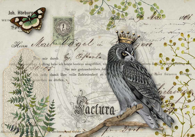 Botanique des chouettes A4