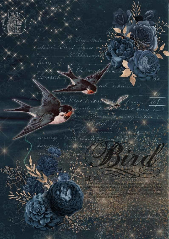 Oiseaux en vol A4
