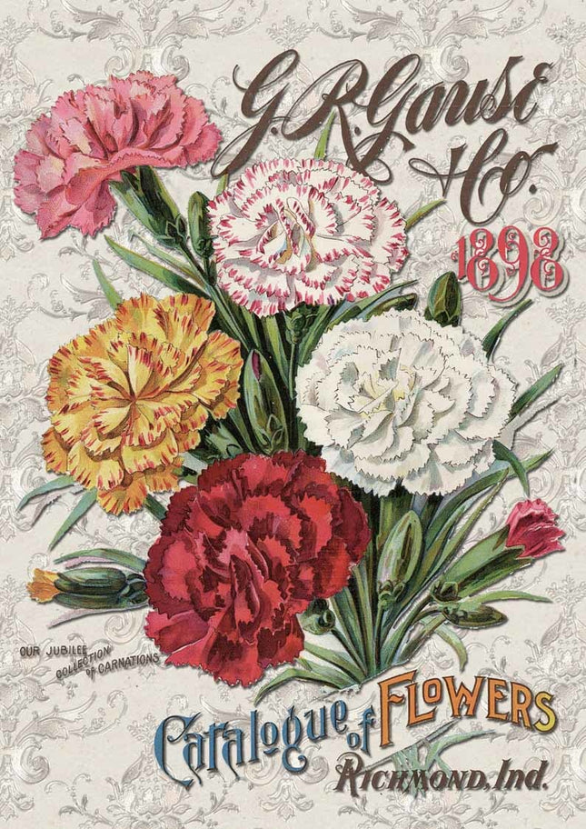 Catalogue d’œillets A3