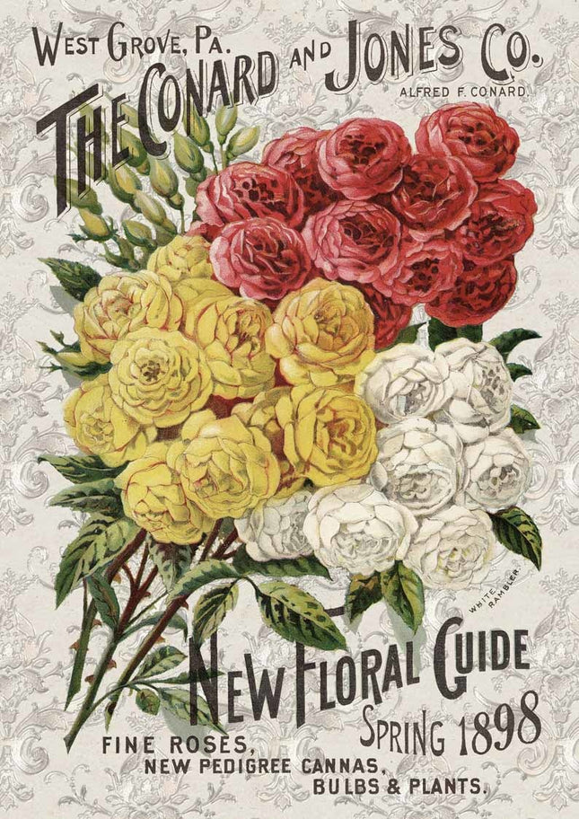 Catalogue de roses A3