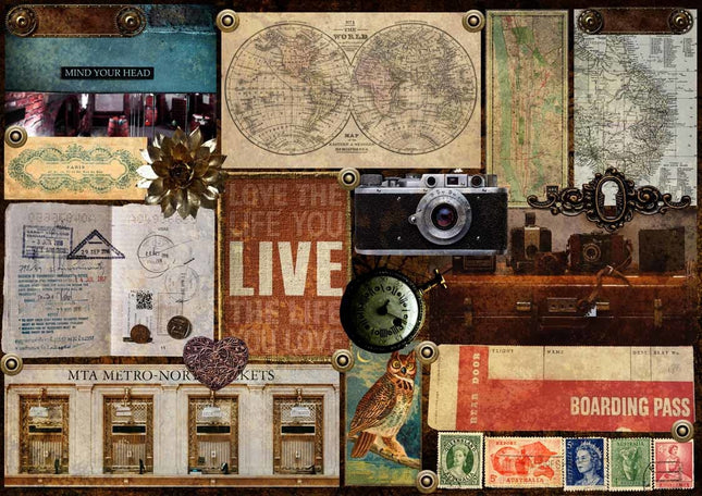Le parcours d’Elaine