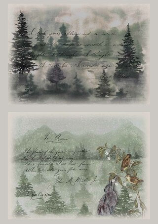 Dainty and the Queen : Lettres de la maison