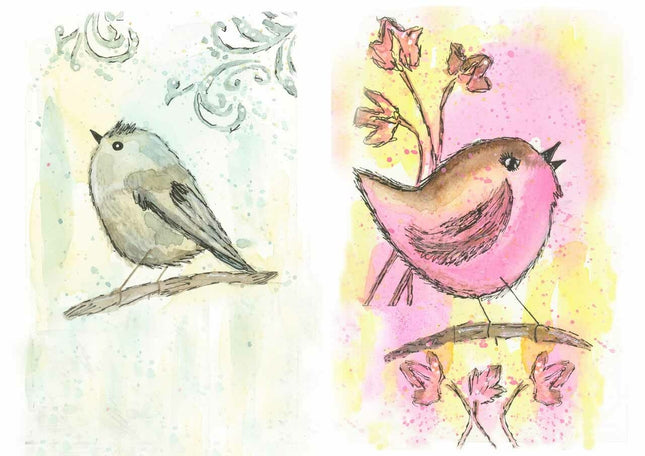 Old to Ooh La La - Mélodies d'oiseaux A4