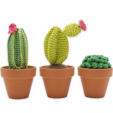 Kit de crochet Cactus - Kit DIY Amigurumi