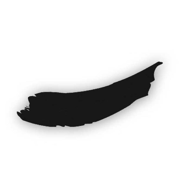 Peinture Vivace 60 ml noire