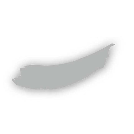 Peinture Vivace 60 ml Argent