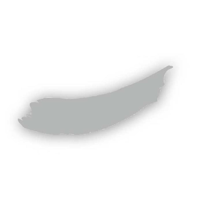 Peinture Vivace 60 ml Argent