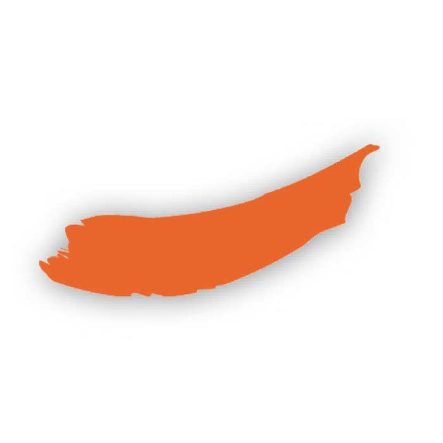 Peinture Vivace 60 ml orange