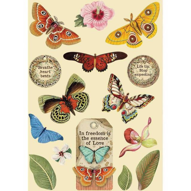 Cadre en bois coloré A5 - Amazonia papillon