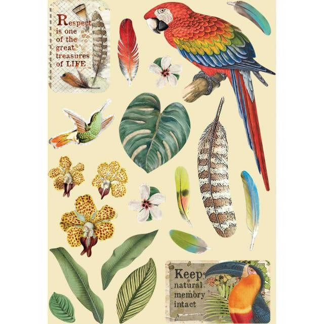 Cadre en bois coloré A5 - Amazonia perroquet