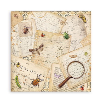 Bloc imprimé pour scrapbooking et loisirs créatifs, 22 feuilles, cm 20,3X20,3 (8"X8"), recto seul - All Around